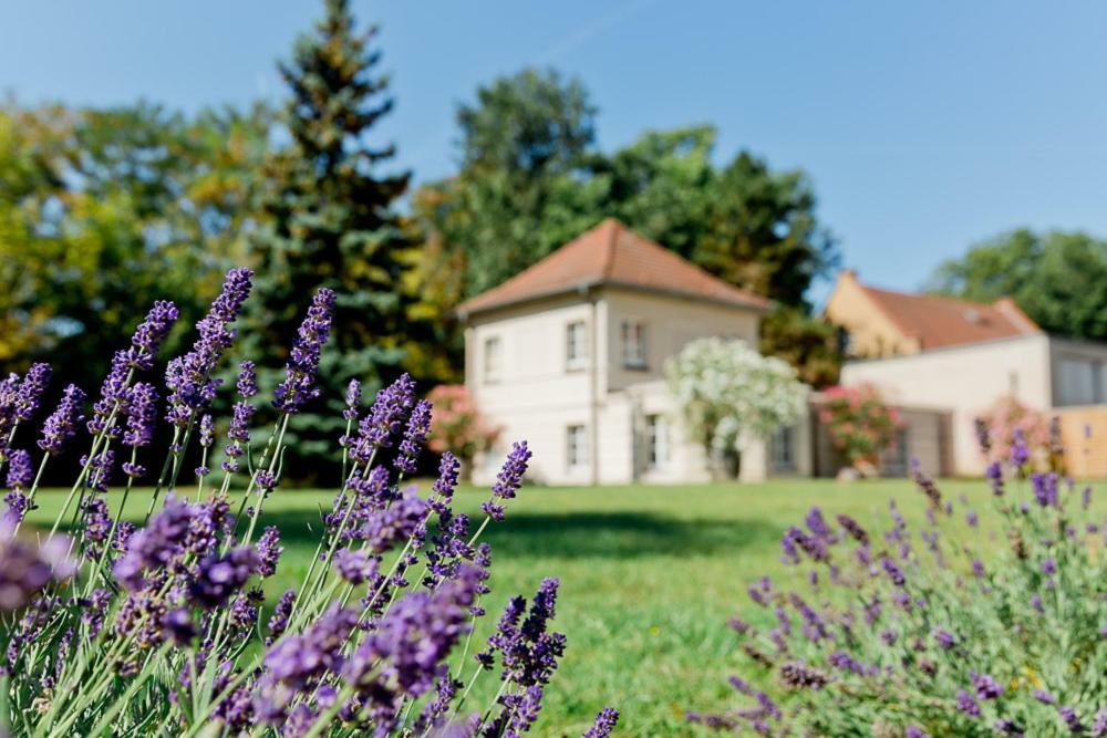 Landhaus Am Jungfernsee Потсдам Екстериор снимка